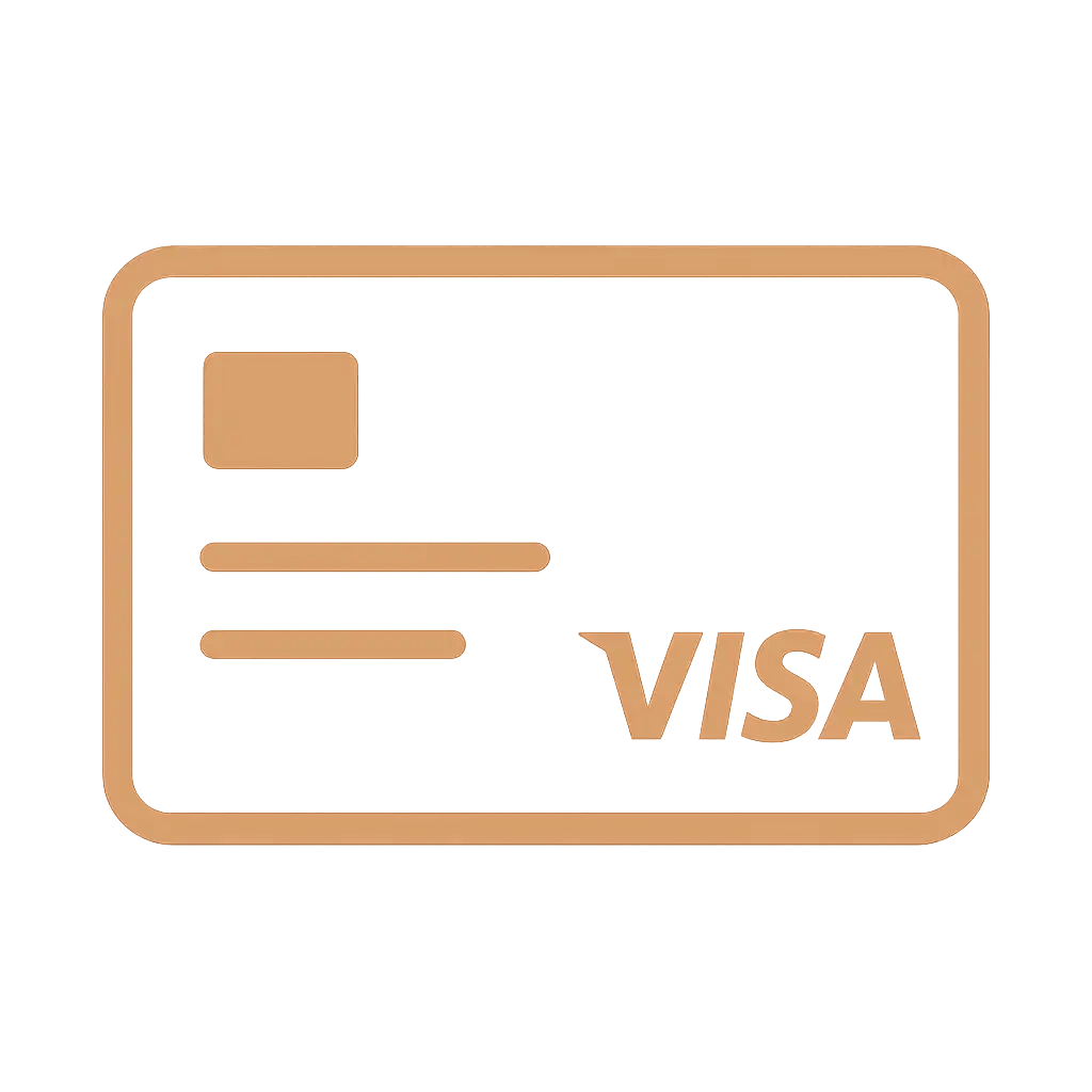 Visa icon
